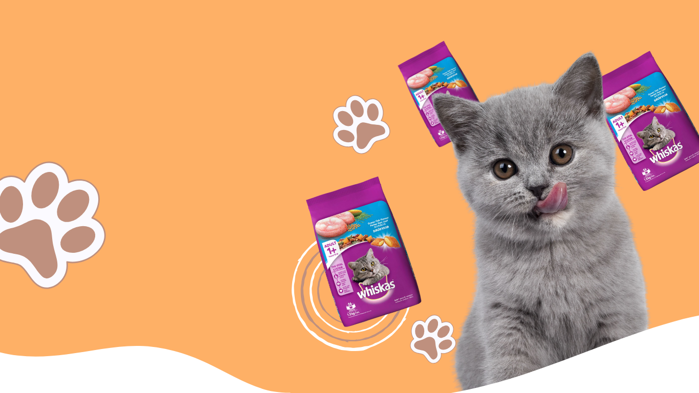 Pet food background 2