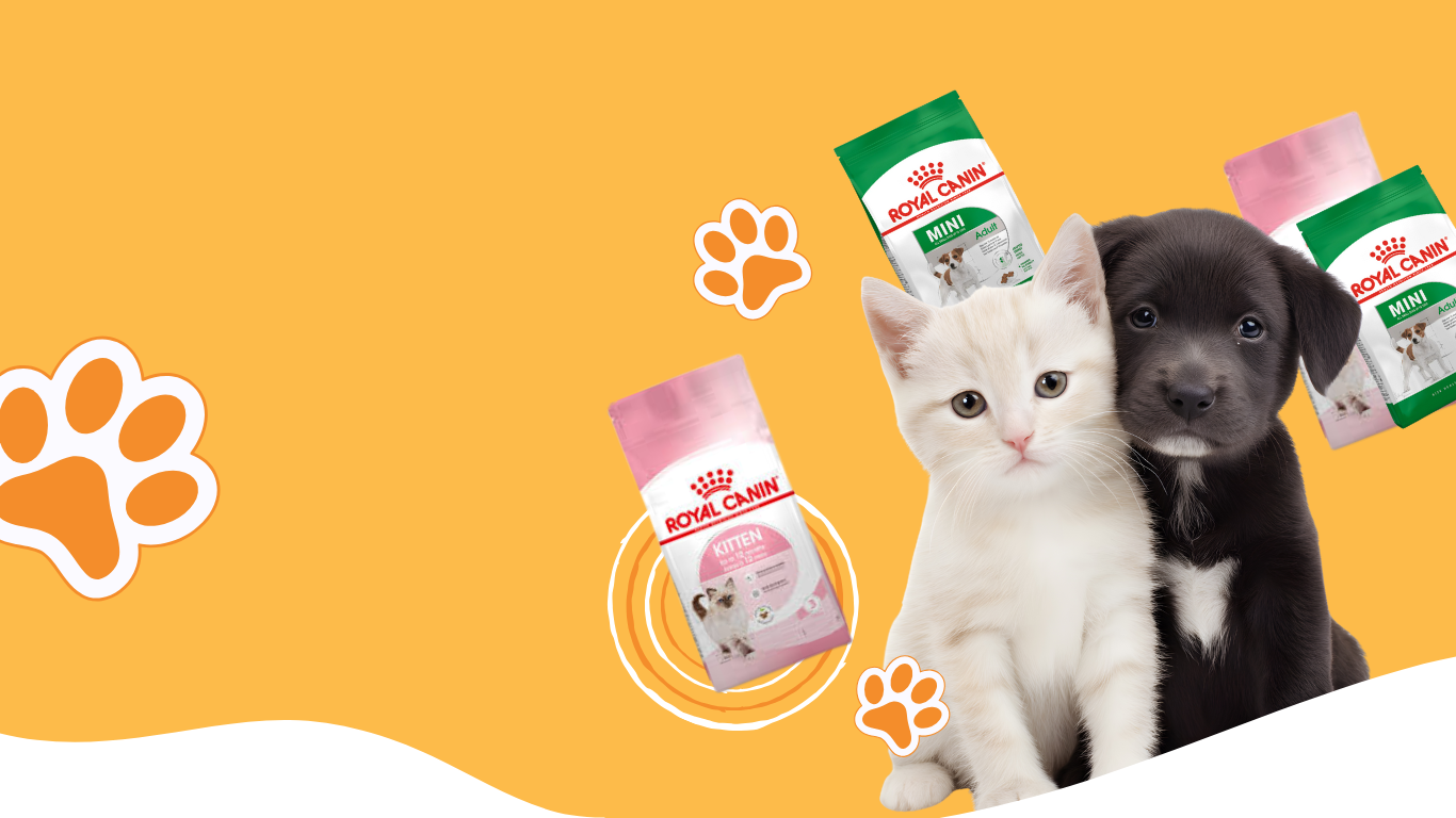 Pet food background 3
